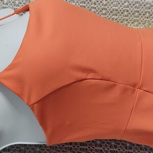 Vibrant Orange Mini Dress